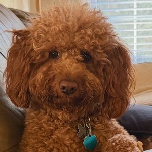 Meet your Posher, Starla